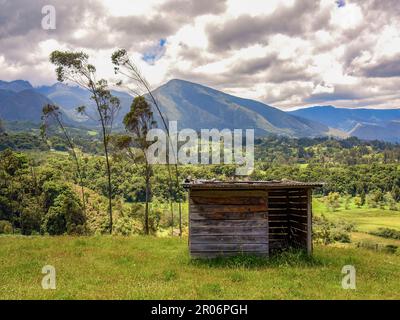 Vue sur un hangar en bois très ancien et abandonné dans un champ de ferme, entouré d'eucalyptus et de chênes colombiens, au milieu des montagnes près de la Th Banque D'Images