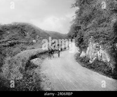 Vue de la fin du 19th siècle d'une voiture hantante avec des touristes qui sillonent la route à travers le Glen du roi William dans le comté de Louth, en Irlande. Les forces du roi William se sont rendues à travers le glen en route vers la victoire à la bataille de la Boyne en 1690 entre William et les forces du roi déchu James II Banque D'Images