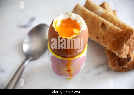 Œuf, œuf dur, gobelet à œuf, petit déjeuner, régime de céto, petit déjeuner sain et protéiné Banque D'Images