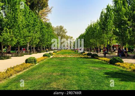 Parc du Retiro au printemps, espace vert et sentiers, Parque del Retiro, Madrid, Espagne Banque D'Images