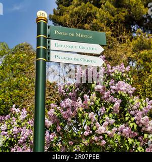 Panneaux devant les buissons de lilas, panneaux dans le parc Retiro, Parque del Retiro au printemps, Madrid, Espagne Banque D'Images