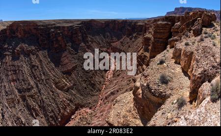 La fourche sud du Lower SOAP Creek Canyon vue d'en haut dans Marble Canyon Arizona. Banque D'Images