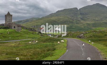 Moutons sur la route à l'église St Clément, Rodel, Harris, Isle of Harris, Hebrides, Outer Hebrides, Îles de l'Ouest, Écosse, Royaume-Uni Banque D'Images