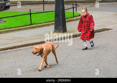 Londres, Royaume-Uni, 07th mai 2023. Nova le chien a suivi avec impatience un homme portant des gâteaux, et son escorté vers les tables par une jeune fille observante. Le Premier ministre britannique Rishi Sunak, son épouse Akshata Murty, les filles Krishna et Anoushka et Labrador Nova organisent un grand déjeuner de Coronation à Downing Street, avec des invités spéciaux, le Dr Jill Biden, la première dame des États-Unis et sa petite-fille Finnegan, présents. Les héros de la communauté, les familles ukrainiennes, les récipiendaires du prix points of Light, les groupes de jeunes et d'autres se réunissent aujourd'hui à Downing Street pour un déjeuner spécial Coronation. Banque D'Images