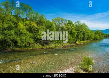 Canyon de la rivière Kupa au printemps, Gorski Kotar, Croatie Banque D'Images