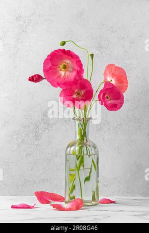 Bouquet de fleurs de pavot roses dans vase en verre sur fond gris. Carte de mariage avec espace de copie. Orientation verticale Banque D'Images