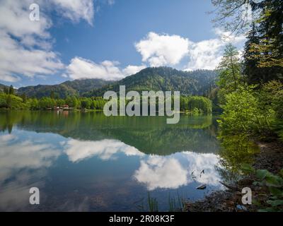 Parc naturel de Borcka Karagol (Karagöl). Destinations de voyage les plus populaires de Turquie. Magnifique vue sur la nature. Région orientale de la mer Noire. Artvin, Turkiye Banque D'Images