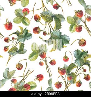 Motif fraise sans couture avec illustrations aquarelle de baies, de feuilles. Illustration des fraises, des baies, des saveurs de fraise Banque D'Images