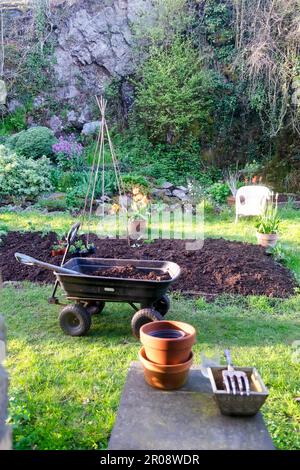 Lit surélevé dans le petit arrière-pays Mai jardin au printemps avec une couche fraîche de compost de wagon et de rockery dans Carmarthenshire pays de Galles Royaume-Uni KATHY DEWITT Banque D'Images