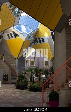 Rotterdam, NL, maisons cubiques conçues par Piet Blom, une cour intérieure avec des plantes, des escaliers et des détails rouges. Banque D'Images