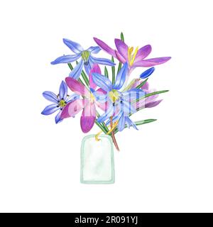 Bouquet d'aquarelles de crocuses et de scillas avec étiquette isolée sur fond blanc. Illustration pour la conception de cartes postales, de voeux Banque D'Images