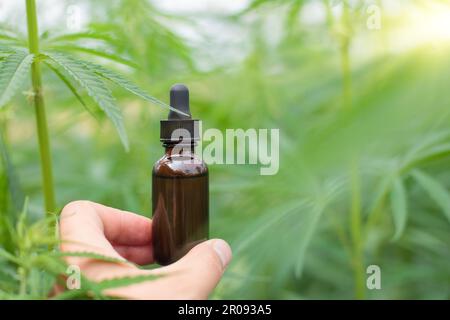 Gros plan sur l'huile de cannabis, mains tenant la bouteille au-dessus des feuilles de plante, fond. Banque D'Images