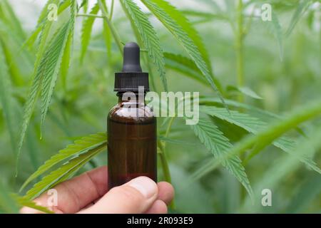 Mains avec bouteille marron d'huile de cannabis, feuilles de plantes, vue rapprochée. Banque D'Images