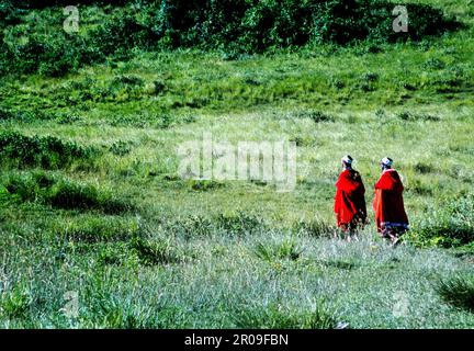 Les femmes Masai portant une robe traditionnelle marchent à travers un champ dans la zone de conservation de Ngorogoro en Tanzanie. Banque D'Images