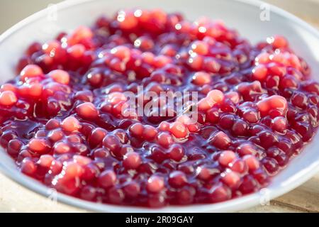 Vin rouge sagou à la crème vanille, dessert culturel traditionnel du sud du Brésil. culture gaucho Banque D'Images