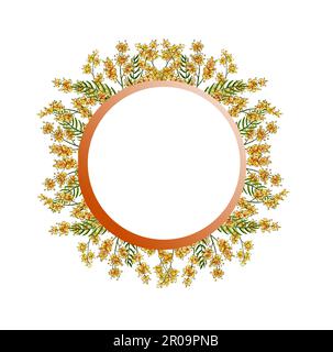 Illustration aquarelle de fleurs de mimosa jaune de printemps. Magnifique cadre rond de mimosa aquarelle. Modèle floral pour une invitation à un mariage, carte-cadeau Banque D'Images