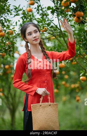 Sa Dec ville, Vietnam: Portrait de fille occidentale dans un jardin mûr de mandarine Banque D'Images