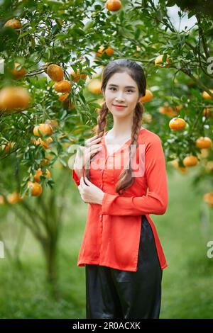 Sa Dec ville, Vietnam: Portrait de fille occidentale dans un jardin mûr de mandarine Banque D'Images