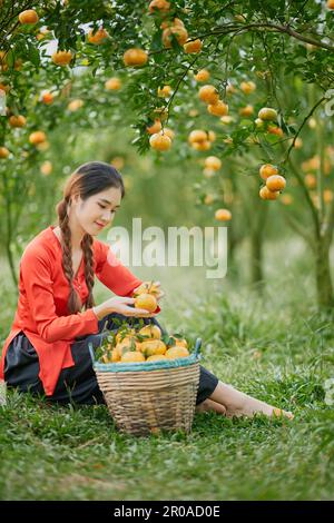 Sa Dec ville, Vietnam: Portrait de fille occidentale dans un jardin mûr de mandarine Banque D'Images