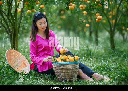 Sa Dec ville, Vietnam: Portrait de fille occidentale dans un jardin mûr de mandarine Banque D'Images