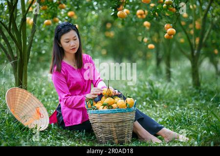 Sa Dec ville, Vietnam: Portrait de fille occidentale dans un jardin mûr de mandarine Banque D'Images