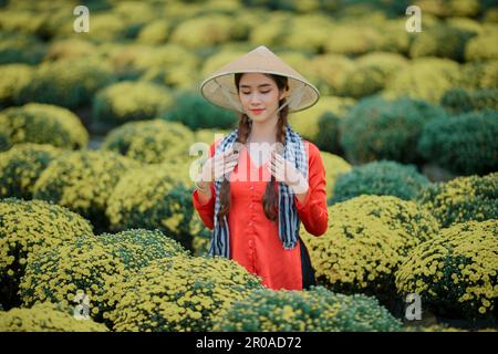 8 janvier 2023: Portrait d'une belle fille vietnamienne dans le jardin de chrysanthème de framboise à sa Dec Banque D'Images