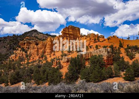 Il s'agit d'une vue d'une formation de grès rouge à l'entrée de Red Canyon dans la forêt nationale de Dixie à l'est de Panguitch, comté de Garfield, États-Unis. Banque D'Images