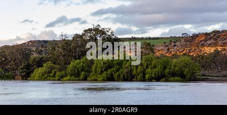 Murray River, un grand réseau fluvial en Australie, adjacent à la Nouvelle-Galles du Sud, à Victoria et à l'Australie méridionale Banque D'Images