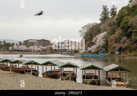 Bateaux sur la rivière Katsura dans le magnifique parc de Kameyama à Arashiyama, Kyoto, Japon Banque D'Images