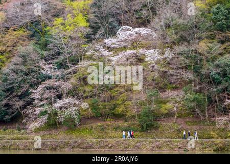 Magnifique parc Kameyama près de la rivière Katsura à Arashiyama, Kyoto, Japon Banque D'Images