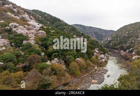 Magnifique parc Kameyama près de la rivière Katsura à Arashiyama, Kyoto, Japon Banque D'Images