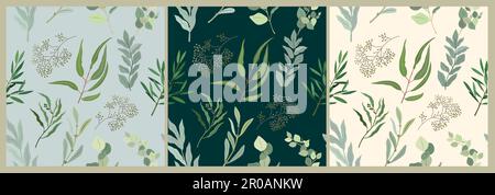 Ensemble d'œuvres d'art vectorielles colorées à motif feuilles d'eucalyptus. Illustration de Vecteur