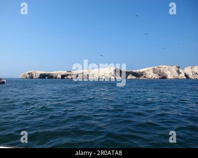 Rochers avec animaux dans l'océan Pacifique près de Paracas, Pérou Banque D'Images