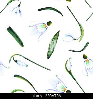 Gouttes d'eau. Motif fleuri sans couture. Illustration aquarelle de plantes sur fond blanc. Bourgeon, fleur, inflorescence, feuille Banque D'Images