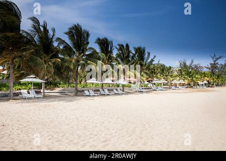 Plage avec parasols et chaises longues, Hôtel Saigon Ninh Chu Resort, Phan rang, Mer de Chine du Sud, province de Ninh Thuan, Phan rang, Vietnam, asie Banque D'Images