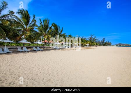 Plage avec parasols et chaises longues, Hôtel Saigon Ninh Chu Resort, Phan rang, Mer de Chine du Sud, province de Ninh Thuan, Phan rang, Vietnam, asie Banque D'Images