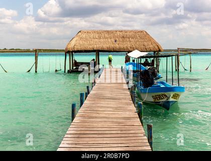 Cabine de chaume Cabana sur jetée en bois, lac Bacalar, Bacalar, Quintana Roo, péninsule du Yucatan, Mexique Banque D'Images