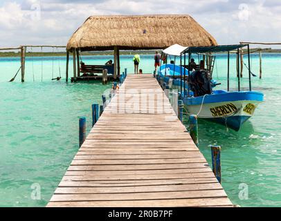 Cabine de chaume Cabana sur jetée en bois, lac Bacalar, Bacalar, Quintana Roo, péninsule du Yucatan, Mexique Banque D'Images