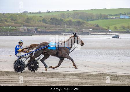 Harness Racing à Harbor View Beach, Kilbrittain, Co. Cork. Mai 2023 Banque D'Images