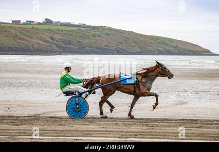 Harness Racing à Harbor View Beach, Kilbrittain, Co. Cork. Mai 2023 Banque D'Images