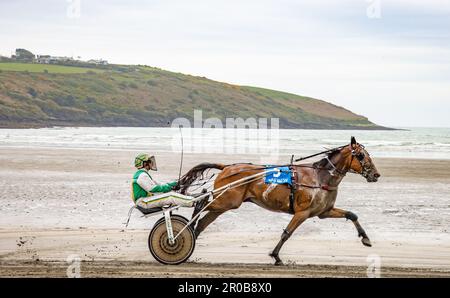 Harness Racing à Harbor View Beach, Kilbrittain, Co. Cork. Mai 2023 Banque D'Images