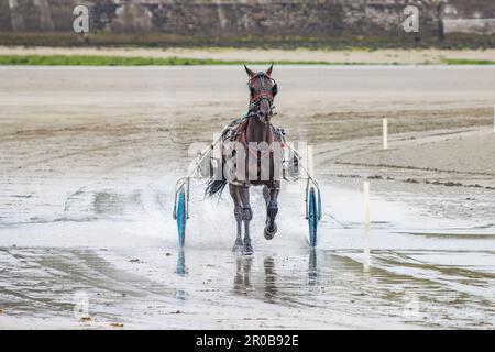 Harness Racing à Harbor View Beach, Kilbrittain, Co. Cork. Mai 2023 Banque D'Images