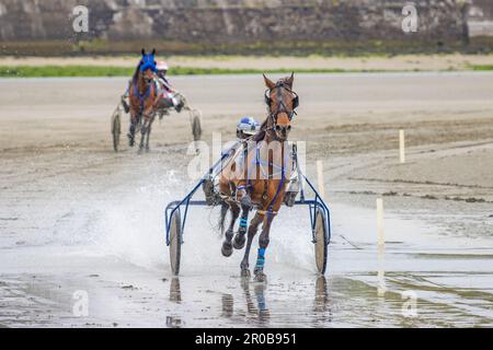 Harness Racing à Harbor View Beach, Kilbrittain, Co. Cork. Mai 2023 Banque D'Images