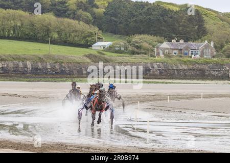 Harness Racing à Harbor View Beach, Kilbrittain, Co. Cork. Mai 2023 Banque D'Images