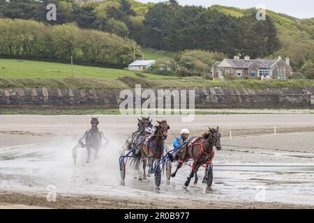 Harness Racing à Harbor View Beach, Kilbrittain, Co. Cork. Mai 2023 Banque D'Images