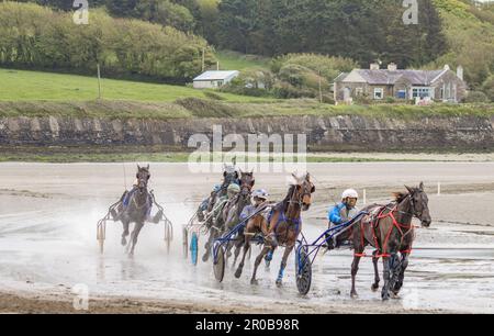 Harness Racing à Harbor View Beach, Kilbrittain, Co. Cork. Mai 2023 Banque D'Images