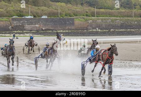 Harness Racing à Harbor View Beach, Kilbrittain, Co. Cork. Mai 2023 Banque D'Images