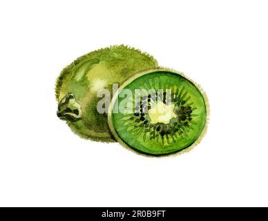 Aquarelle été kiwi clipart isolé sur fond blanc. Banque D'Images