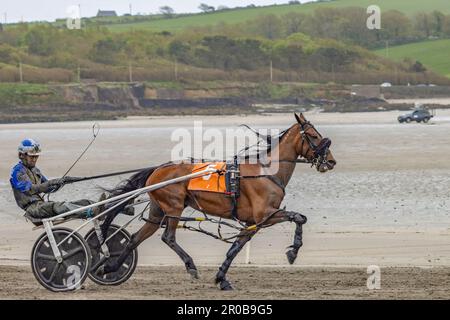 Harness Racing à Harbor View Beach, Kilbrittain, Co. Cork. Mai 2023 Banque D'Images