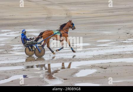 Harness Racing à Harbor View Beach, Kilbrittain, Co. Cork. Mai 2023 Banque D'Images